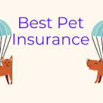 The Best Pet Insurance Companies of 2024