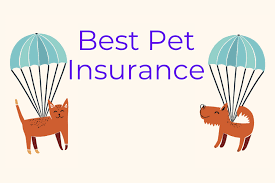 The Best Pet Insurance Companies of 2024